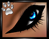 http://userimages04-akm.imvu.com/productdata/images_805feb6d1a08d37b97abbb8515ba25bd.png
