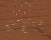 Glitter Patch