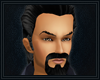 Black/Grey Goatee
