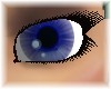 Blue Wolf Eyes