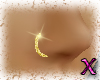 ~AA~ Gold nose Ring