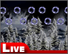 !live- Fireworks