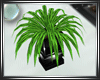 (LD)PRIMAL Plant