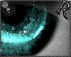 [r]* Candy. eyes. Turq.