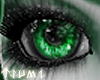 ~Tsu Shamrock Eyes