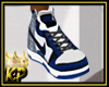!DK! Transformer Dunks