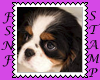 Puppy Biggie Stamp