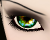 ]KKS[ForestNymph F
