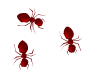 walking red ant