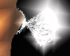 [Scc]Diamond Ring 2