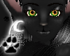 [N]Black Neko Ears