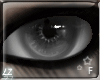 Z7 [Gloss]Silence F