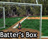 Batter's Box Chainlink Fence