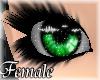Sparkle Ivy [F]