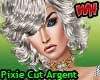 Pixie Cut Hair Argent