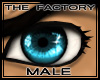 TF Simple Eyes Teal