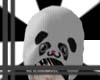 -BW- Panda Cap+hair M