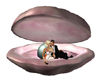 [AS1] Shell Bed