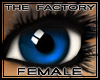 TF Lovely Eyes Blue