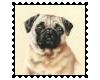 Biggie Pug Stamp 4