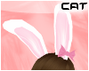 !C Bunny Ears