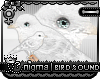 [?] Dawn Bird