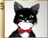 aYY- red collar red bow black white Tuxedo cat