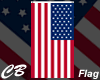 CB American Flag