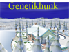 Winter Holiday Home
