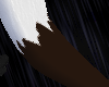 (LLK) Allen Tail