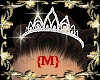 {M} Diamond Tiara