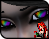 Raindow Eyes
