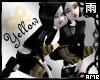 Layered Dragon Pants YLW