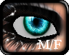 {A} BluShyn Eyes