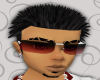 *JOE* 23 baller shades