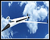 Luxury Aircraft