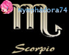 scorpio tee (FEMALE)