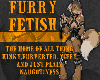 Furry Fetsih