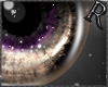 [r]* ShineEyes.