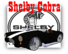 [S9] Cobra Car