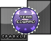 Bottle Cap- Team Edward