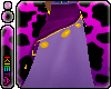 Gypsy's Skirt