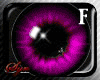 Sparkle Eyes Bundle -F