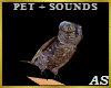 `Owl  (Pet) + Sounds