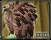 xmx. N. Hawk Owl Hair