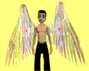 starry wings