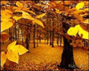 Autumn 2008