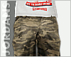 [CA] Boss Cargos Camo..