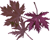 sticker_635540_725671