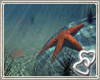 ~S~Underwater Stars Bkgd